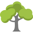 Vista Tree Trimming